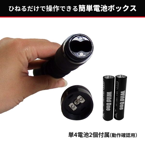 Analist 009 後庭震動器：圖片 7